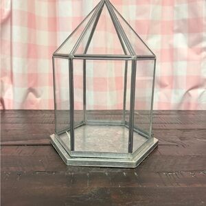 Hexagonal Silver Glass Terrarium